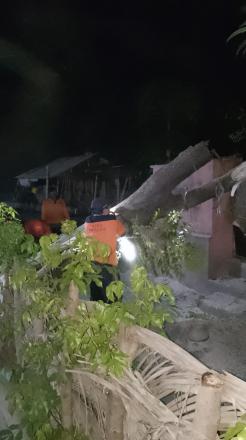 Pohon tumbang di Pokdarwis tepatnya di Banjar Dinas Pabean Sangsit
