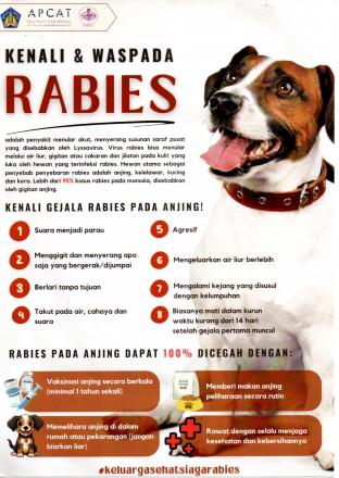 Himbauan Pencegahan Penyakit Rabies